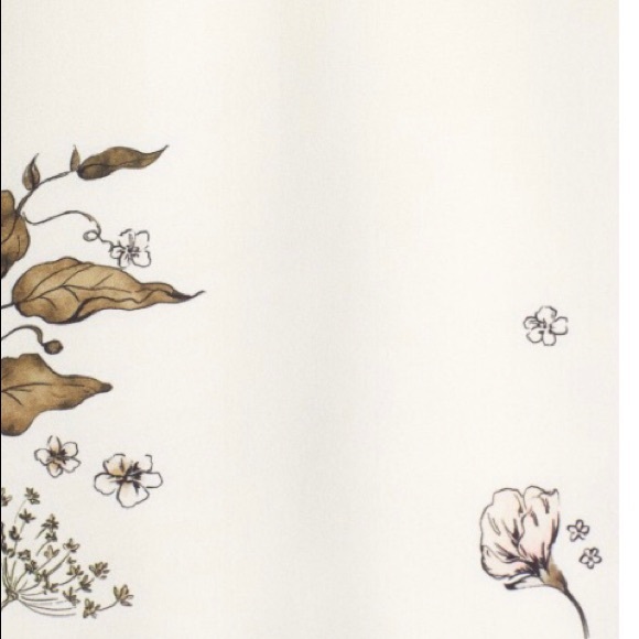 1.State Ruffle Cold Shoulder Top - Picture 6 of 7